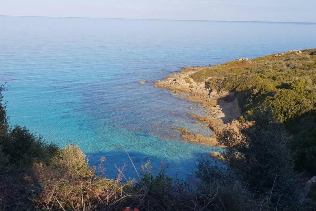 Monticello, Ile-Rousse - Residence Fiore Di Mare Ngoại thất bức ảnh